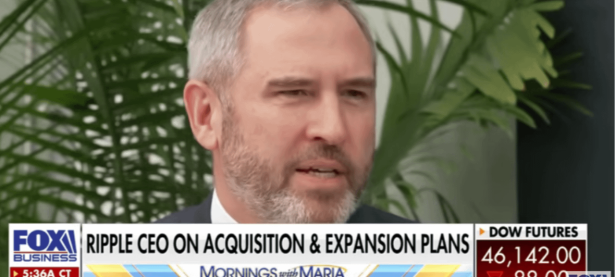 Ripple 首席执行官预测稳定币将是加密未来增长的关键